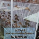 ساخت، نصب و تعمیرات توری در آمل
